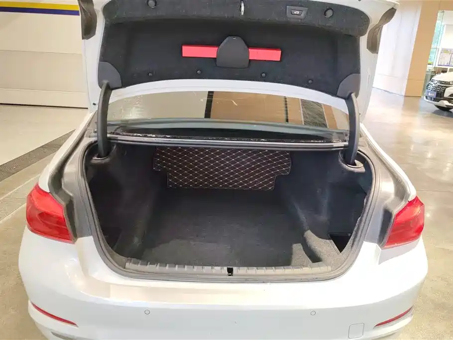 BMW 5 Series 2020 525Li Luxury Package фото 4