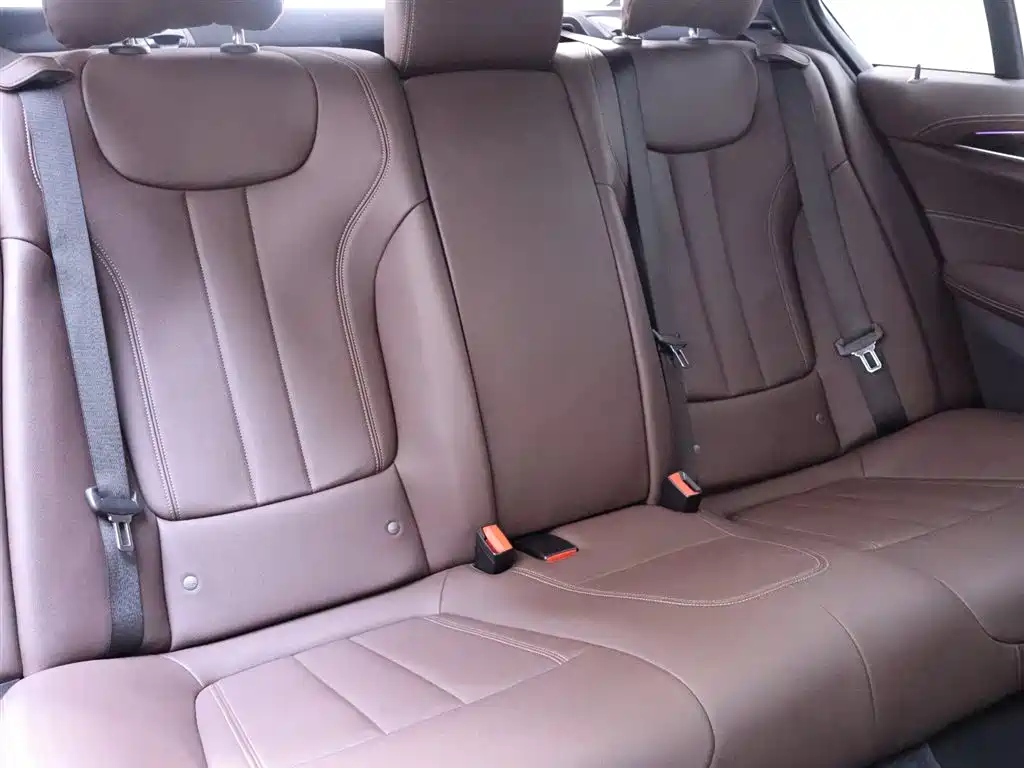 BMW 5 Series 2020 525Li M Sport Package фото 22