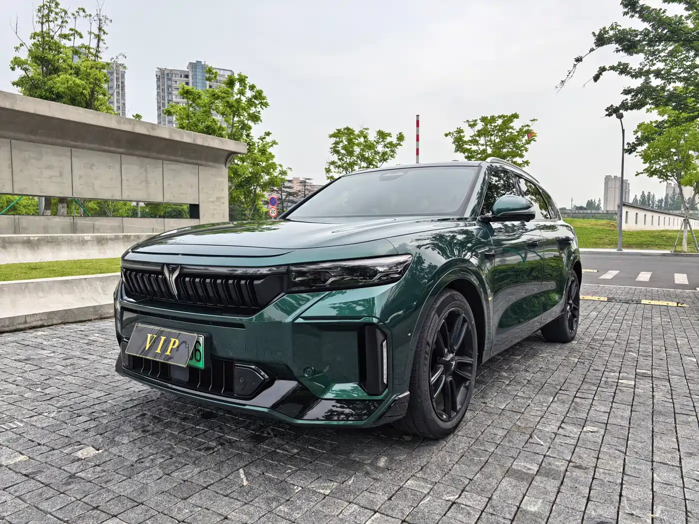 Voyah Auto VOYAH FREE 2024 Ultra Long Range Intelligent Driving Edition