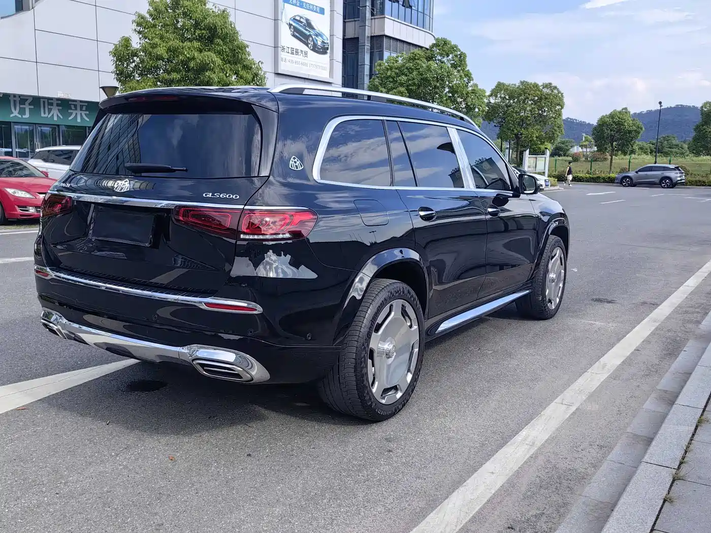 Mercedes-Benz Maybach GLS 2021 GLS 480 4MATIC фото 6