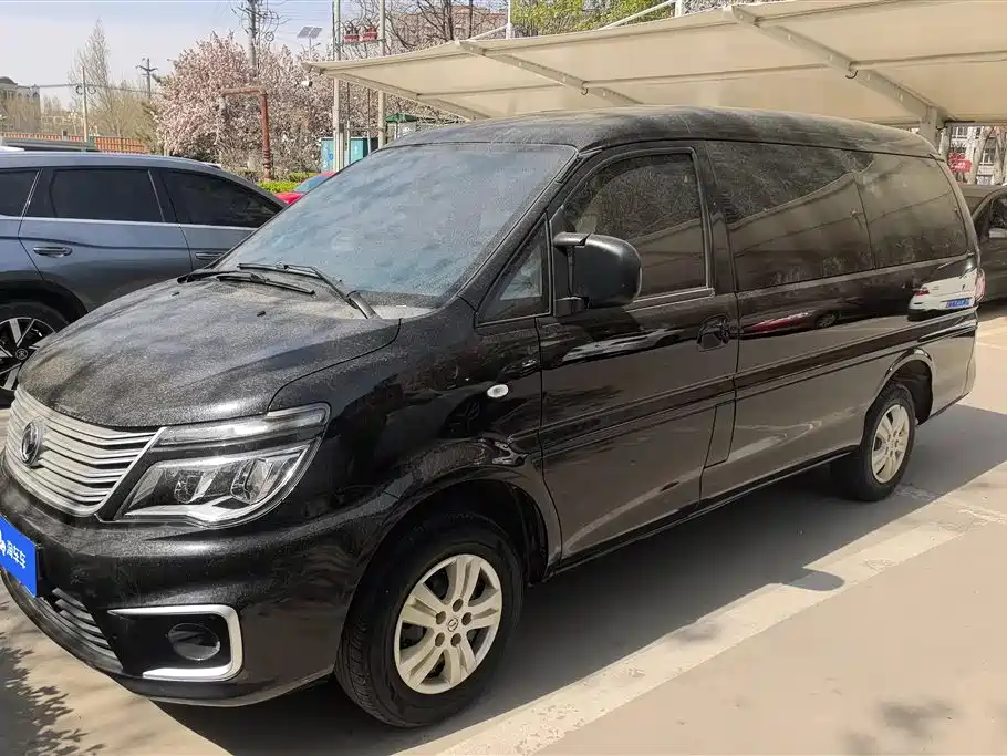 DONGFENG LINGZHI