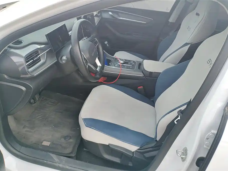 BYD Destroyer 05 2024 Glory Edition DM-i 55KM Luxury фото 9