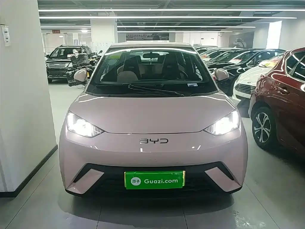 BYD Seagull 2024 Glory Edition 305km Freedom Edition фото 3