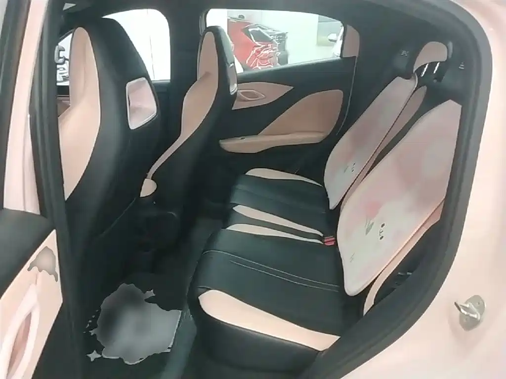 BYD Seagull 2024 Glory Edition 305km Freedom Edition фото 17