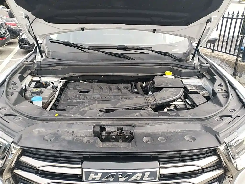 Haval H6 2021 Model National Trend Edition 1.5T Auto Champion фото 16