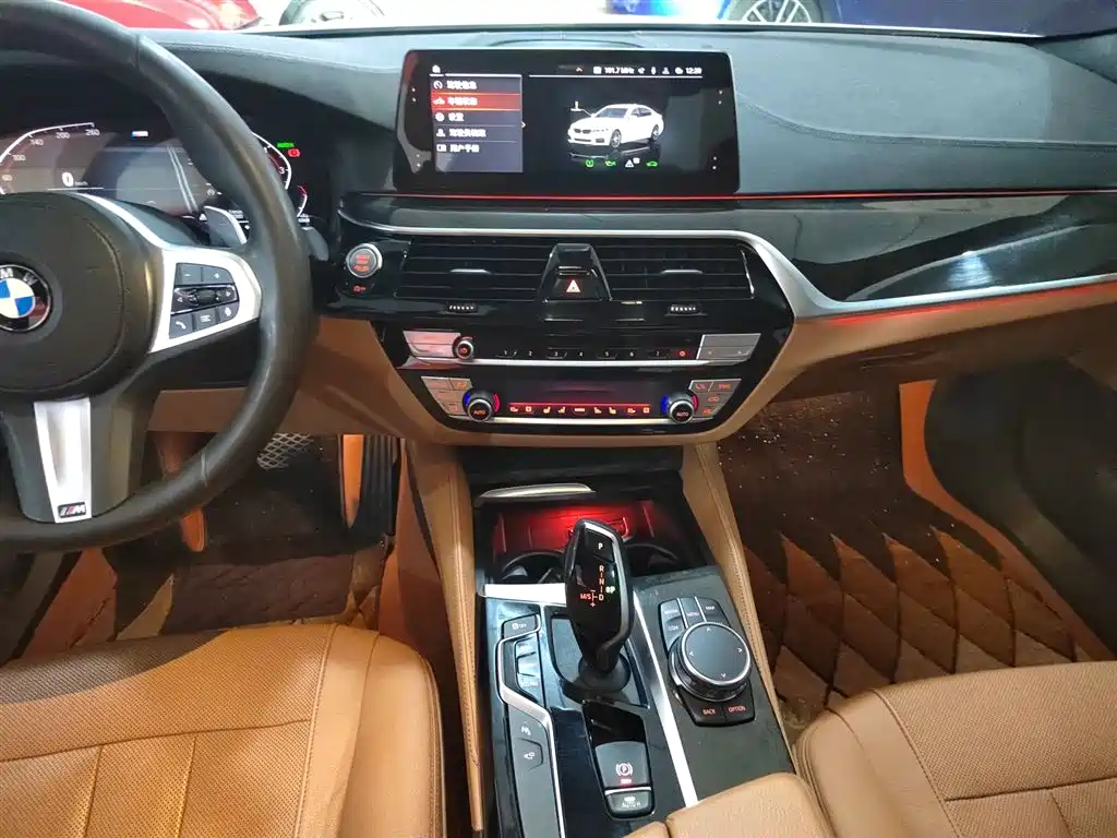 BMW 5 Series 2020 530Li Exclusive M Sport Package фото 13