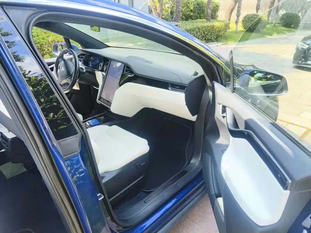 Фото 13 - Tesla Model X