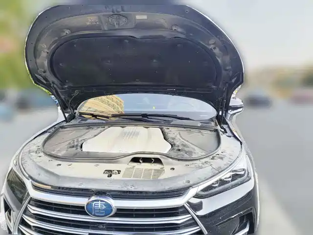 BYD Tang New Energy 2021 DM-i 112KM Honor — фото 3
