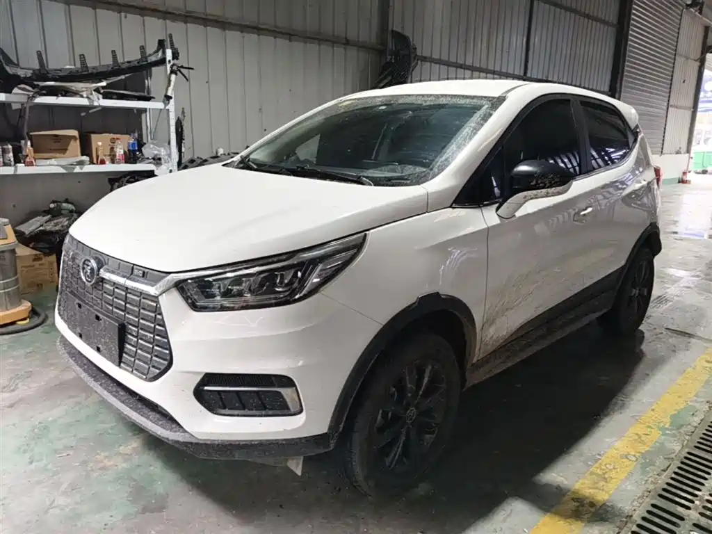 BYD Yuan New Energy 2019 EV535 Smart Connected Trend Leader Type