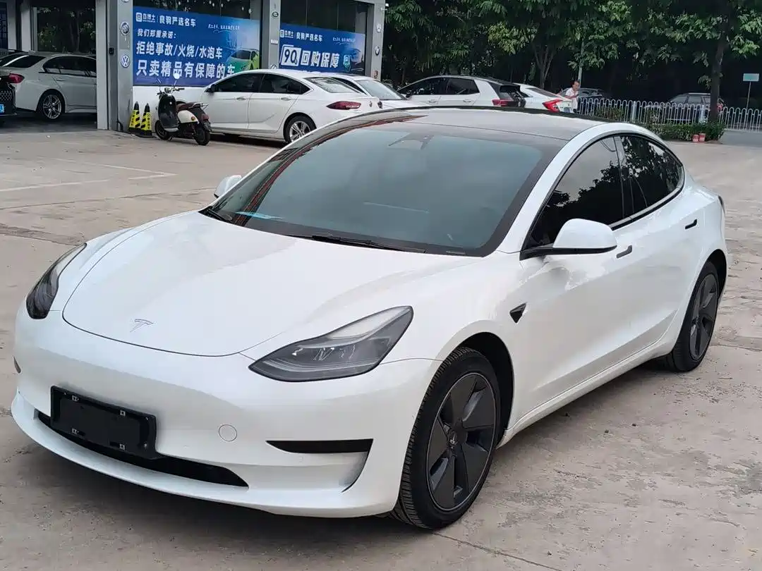 Tesla Model 3 2021 Standard Range Rear-Wheel Drive Upgrade 3D6