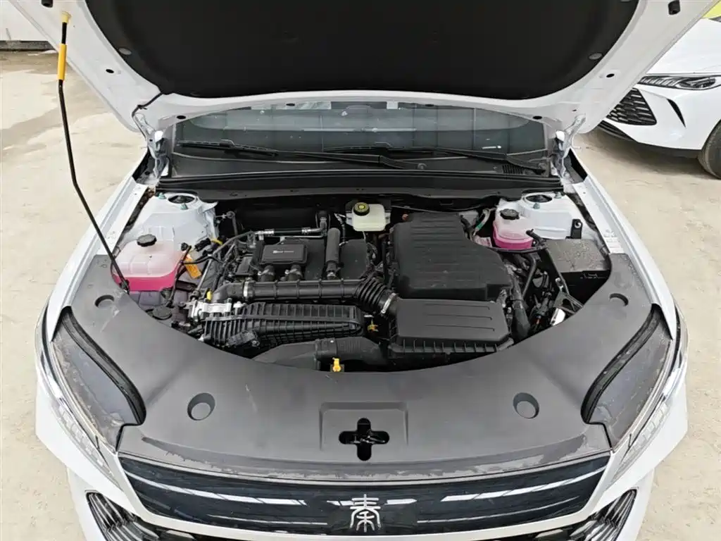 BYD Qin PLUS 2026 DM-i Smart Edition 128KM Progressive фото 20