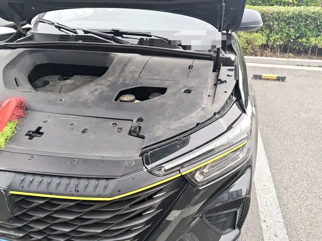 Фото 21 - Roewe RX5