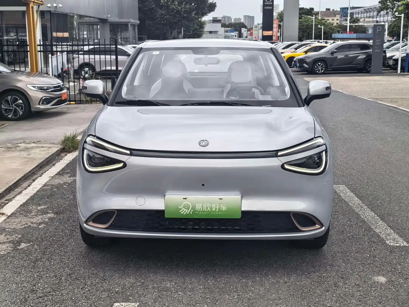 Dongfeng Yipai Nano 01 2025 2024 Renewal Edition 430 Plus Smart+