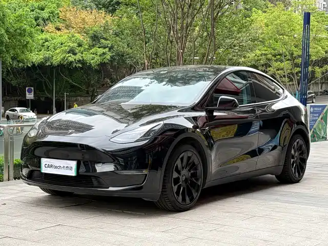 Tesla Model Y 2021 Standard Range Rear-Wheel Drive