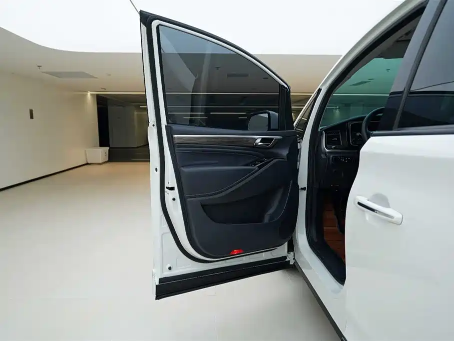 GAC Trumpchi Trumpchi M8 2021 Leading Show Series 390T Luxury Edition фото 18