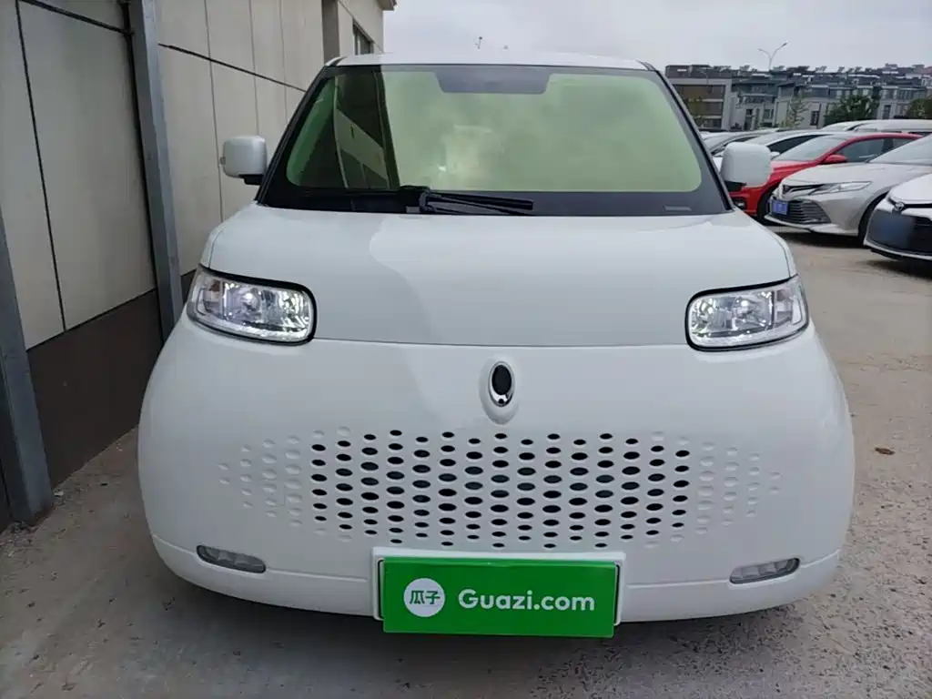 Ora White Cat 2020 2020 360km Luxury Model