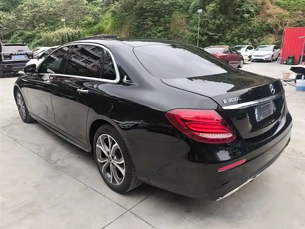 Mercedes-Benz E-Class 2020 Facelift E 300 L Sport Fashion фото 5