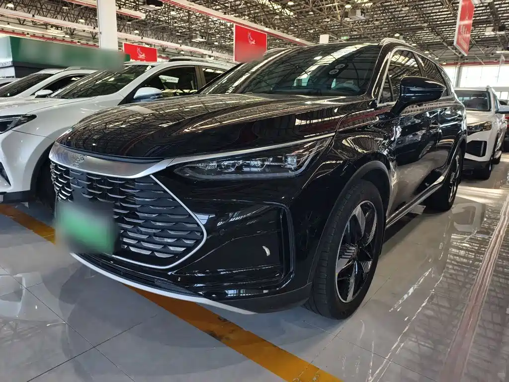 BYD Tang New Energy 2024