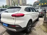 Photo 10 - Leopaard CS10