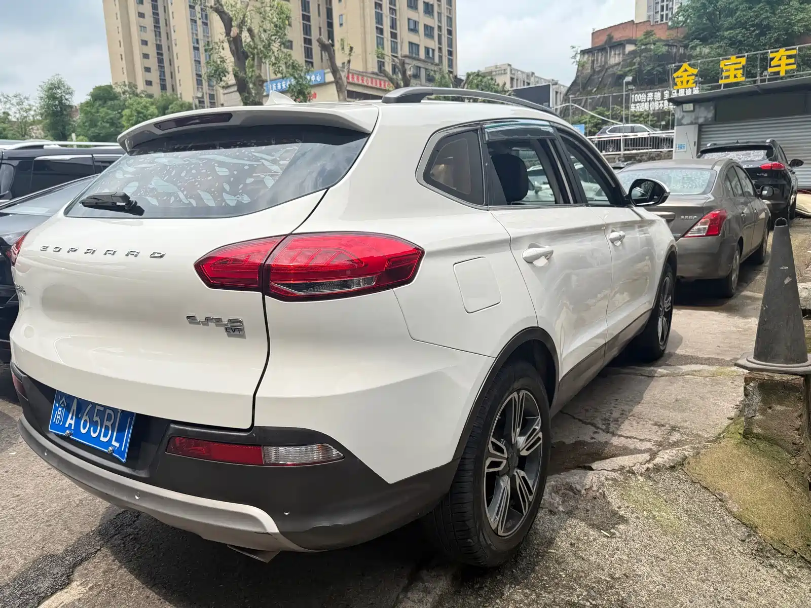 Photo 10 - Leopaard CS10