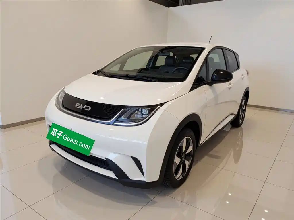 BYD Dolphin 2025 420km Freedom Edition