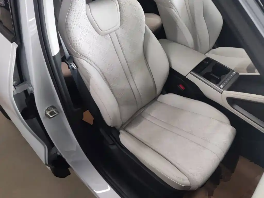 BYD Yuan UP 2026 2025 Model 301KM Navigator
