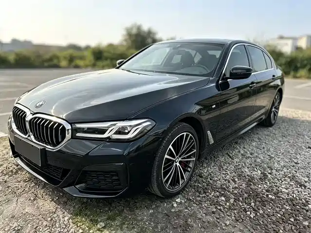 BMW 5 Рестайлинг, 530Li, Лидер, M Спорт-пакет