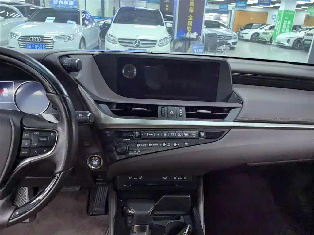 Lexus ES 2020 200 Luxury фото 9