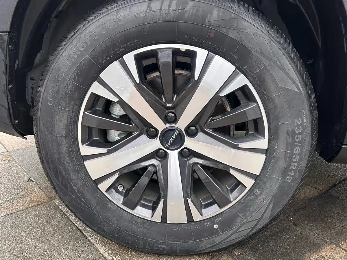 Haval Big Dog 2022 1.5T DCT FWD Labrador Edition фото 13