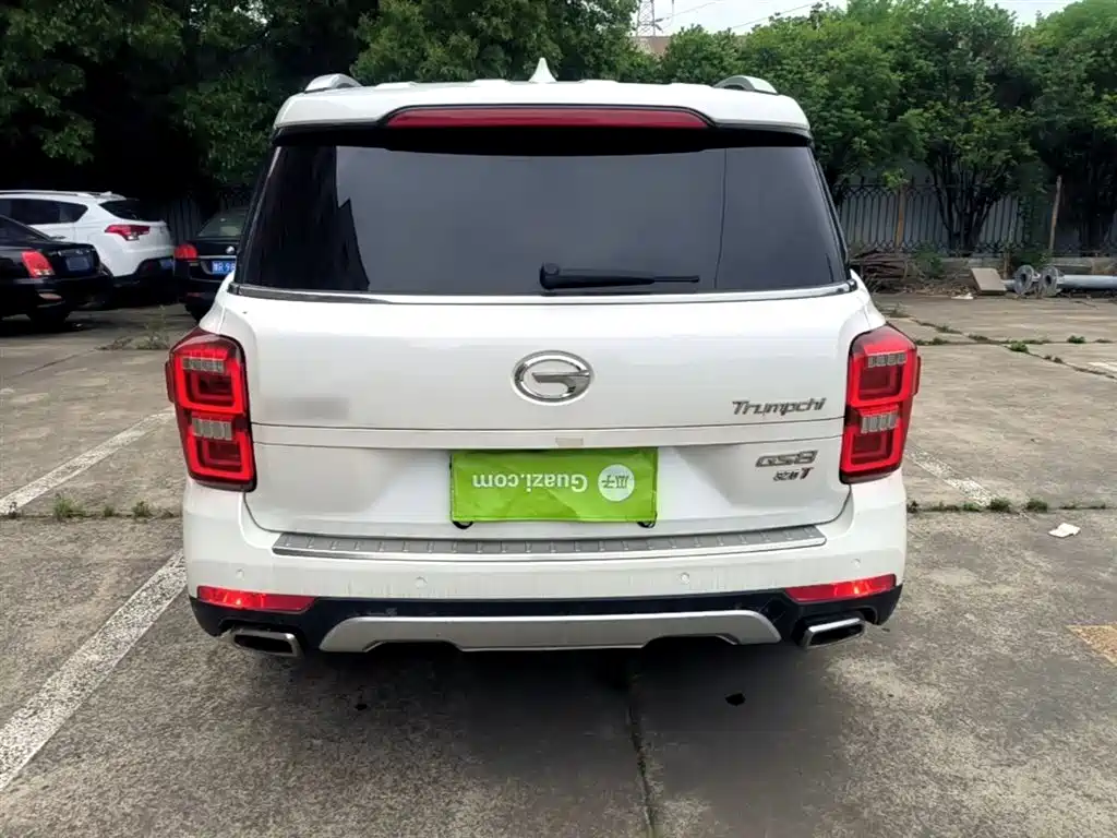 GAC Trumpchi Trumpchi GS8 2017 320T 2WD Luxury Smart Connect (7-seater) фото 6