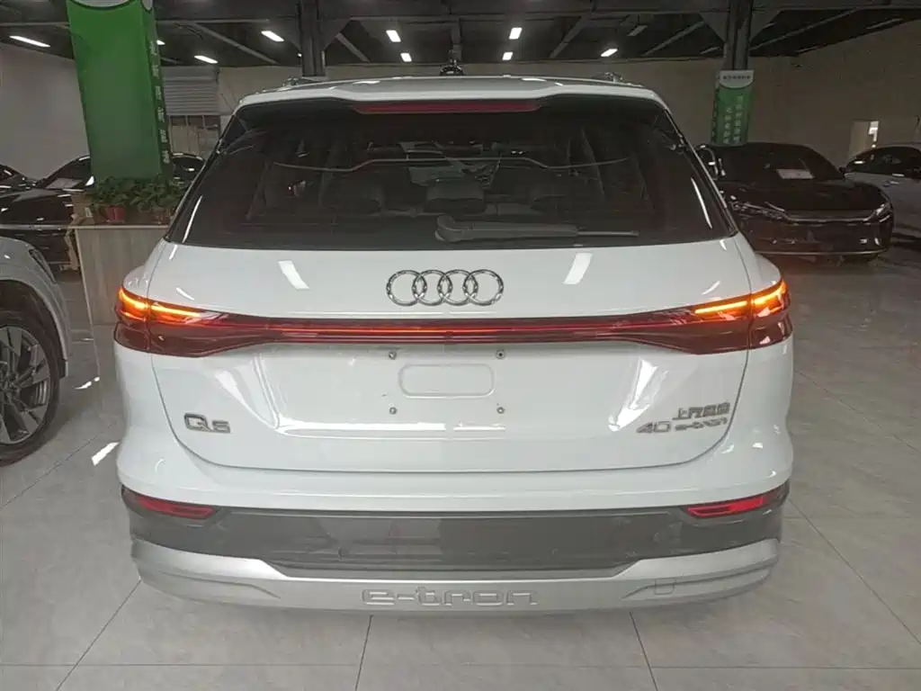 Audi Q5 e-tron 2022 40 e-tron Starlight Edition Brocade Package фото 6