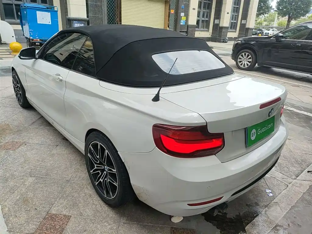 BMW 2 Series (Import) 2019 225i Convertible Coupe Sport Design Package фото 5