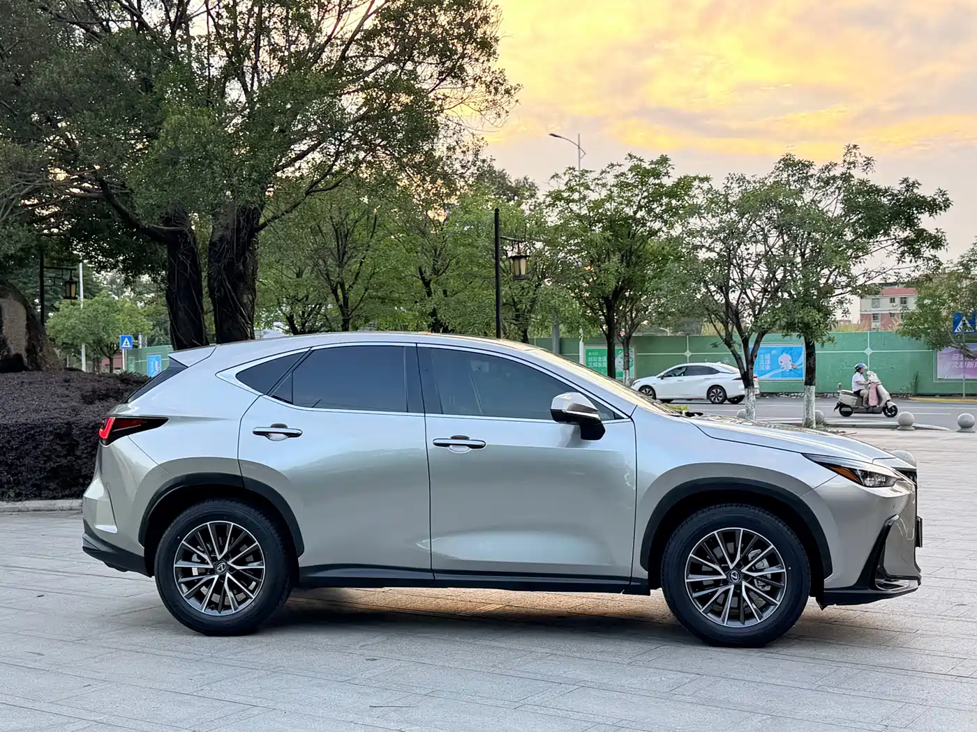 LEXUS NX