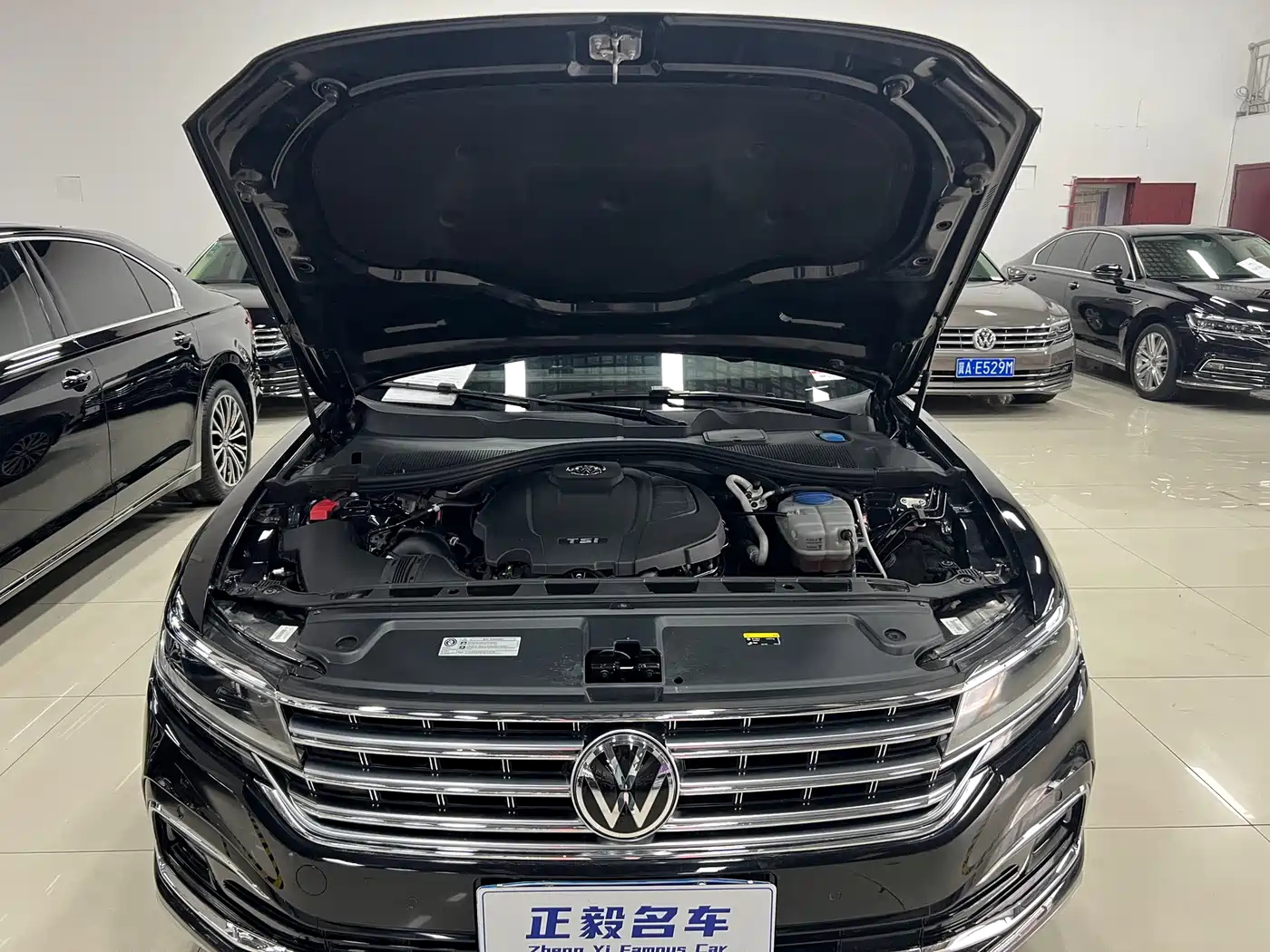 Volkswagen Phideon 2021 380TSI Luxury Edition фото 16