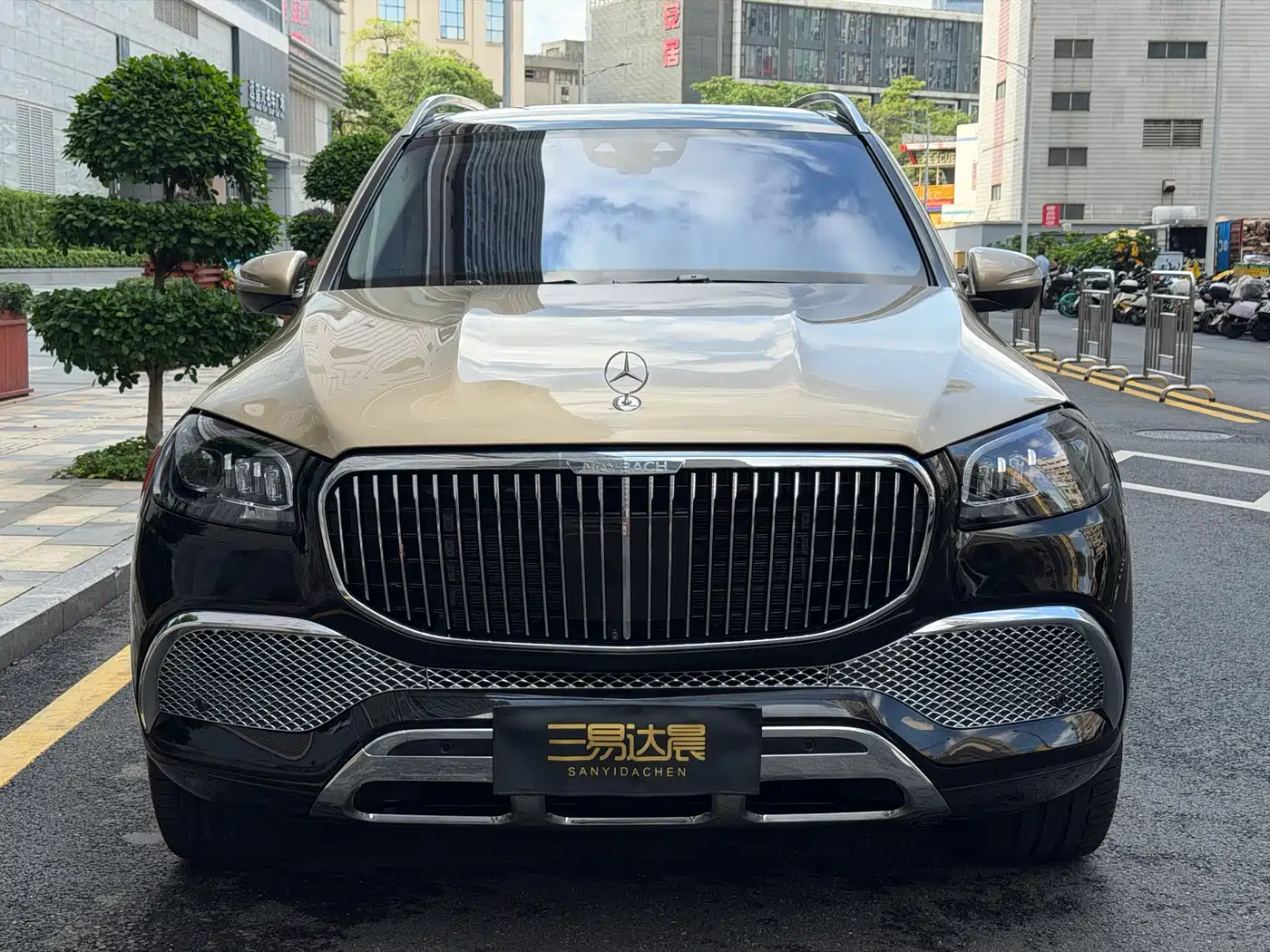 Mercedes-Benz Maybach GLS 2022 GLS 480 4MATIC фото 2