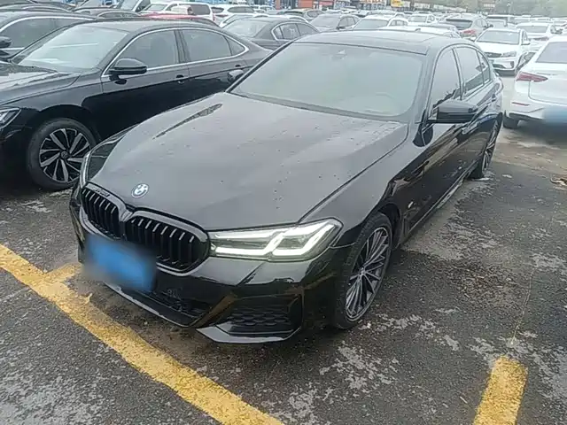 BMW 5 2-й рестайлинг, 530Li, Лидер, M Спорт-пакет