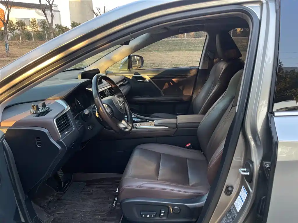 Lexus RX 2020 300 4WD Elegance Edition China VI фото 15
