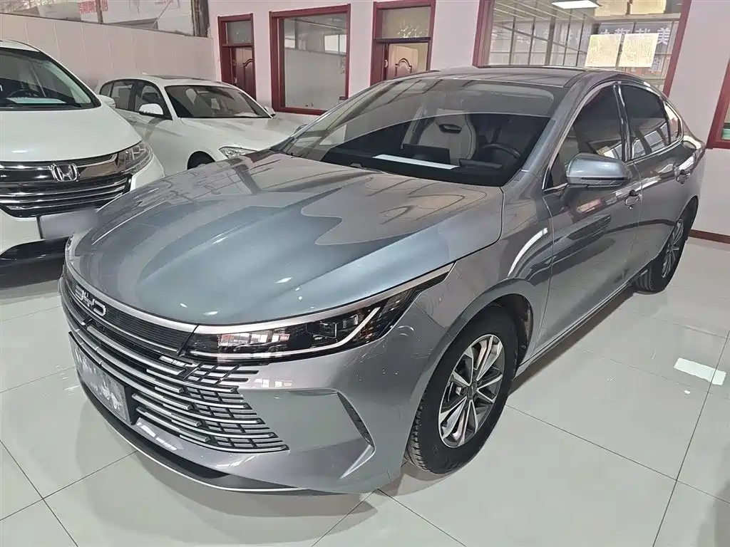 BYD Destroyer 05 2024 Glory Edition DM-i 55KM Executive