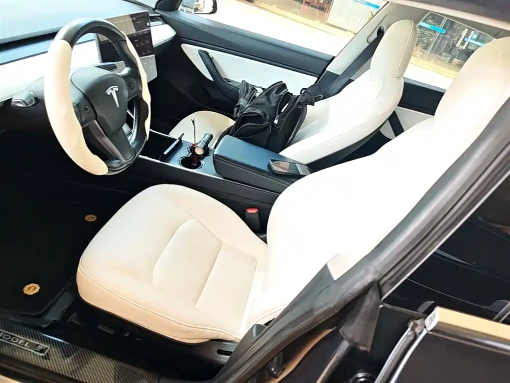 TESLA MODEL 3 (IMPORTED)