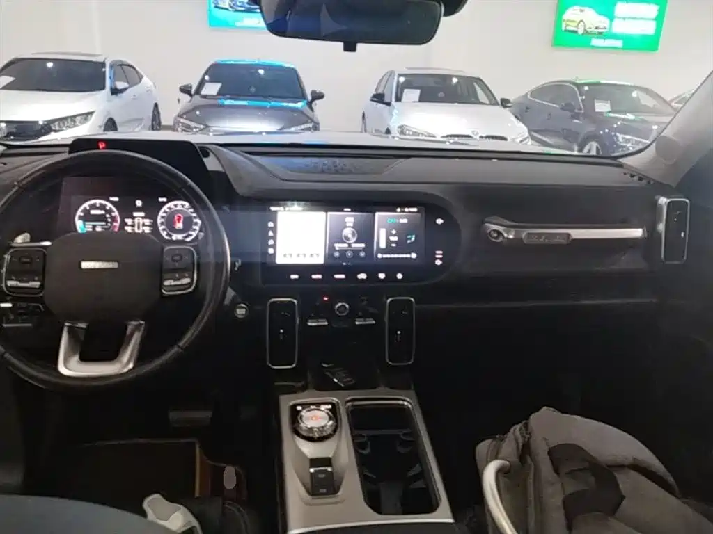 Haval Big Dog 2021 1.5T DCT 2WD Labrador Edition фото 10