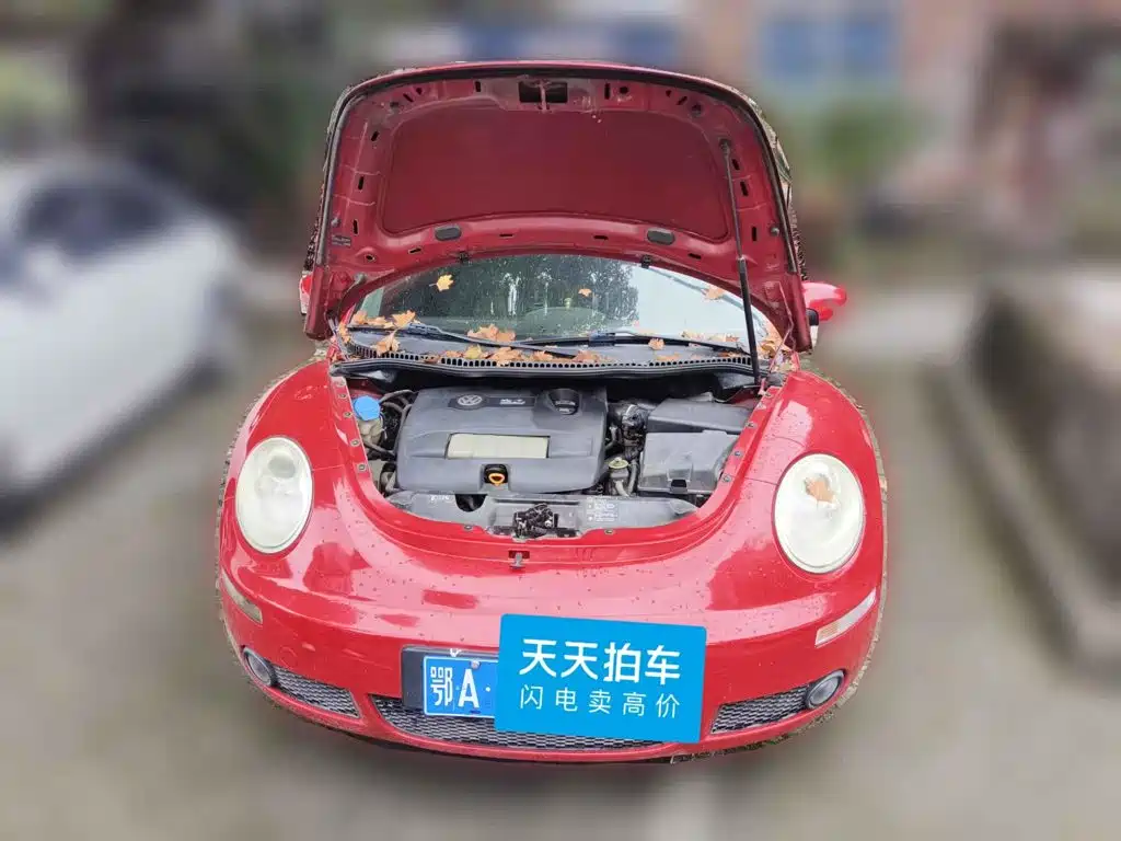 Volkswagen Beetle 2008 2008 2.0 AT Standard