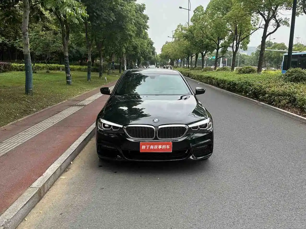 BMW 5 Series 2019 530Li Leading M Sport Package фото 2