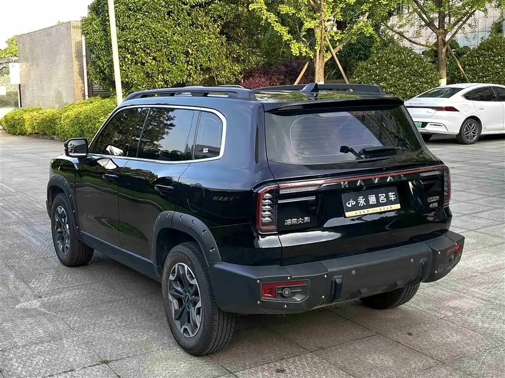 Haval Big Dog 2024 2.0T DCT Chinese Rural Dog Edition фото 10