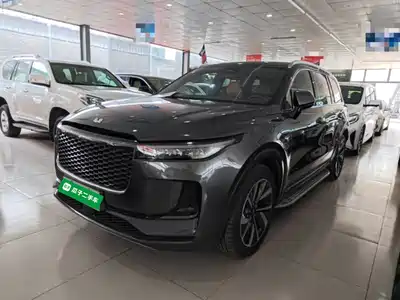 Li Auto ONE