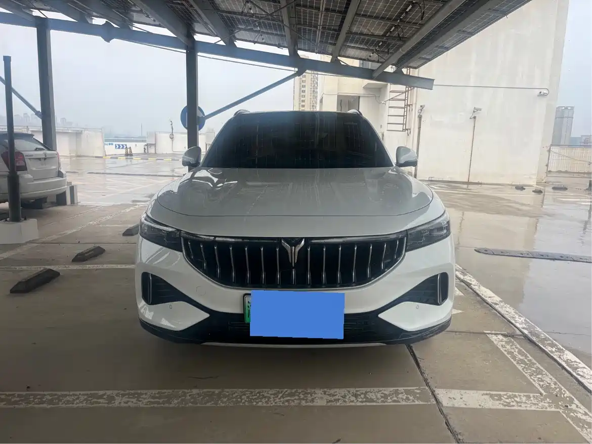Voyah Auto VOYAH FREE 2021 AWD Standard Range Extender Exclusive Luxury Package фото 2