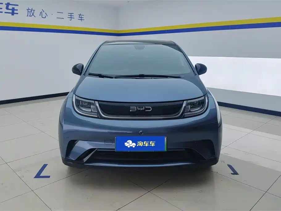 BYD Dolphin 2025 420km Fashion Edition фото 2
