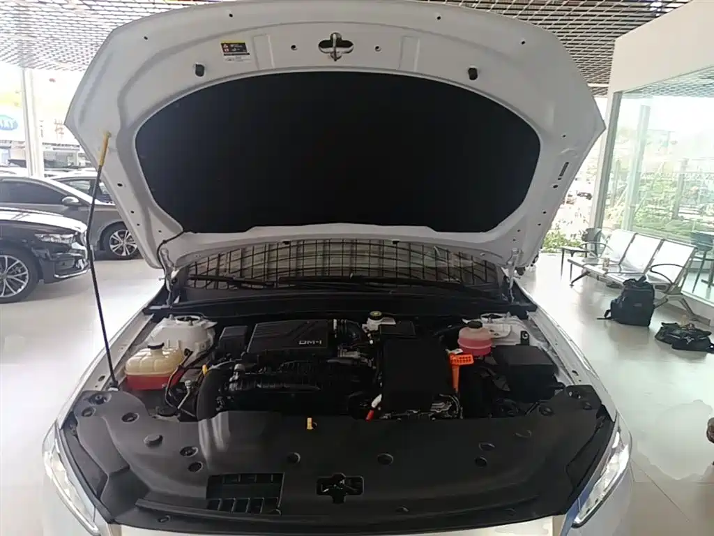 BYD Qin PLUS 2021 DM-i 55KM Premium фото 20