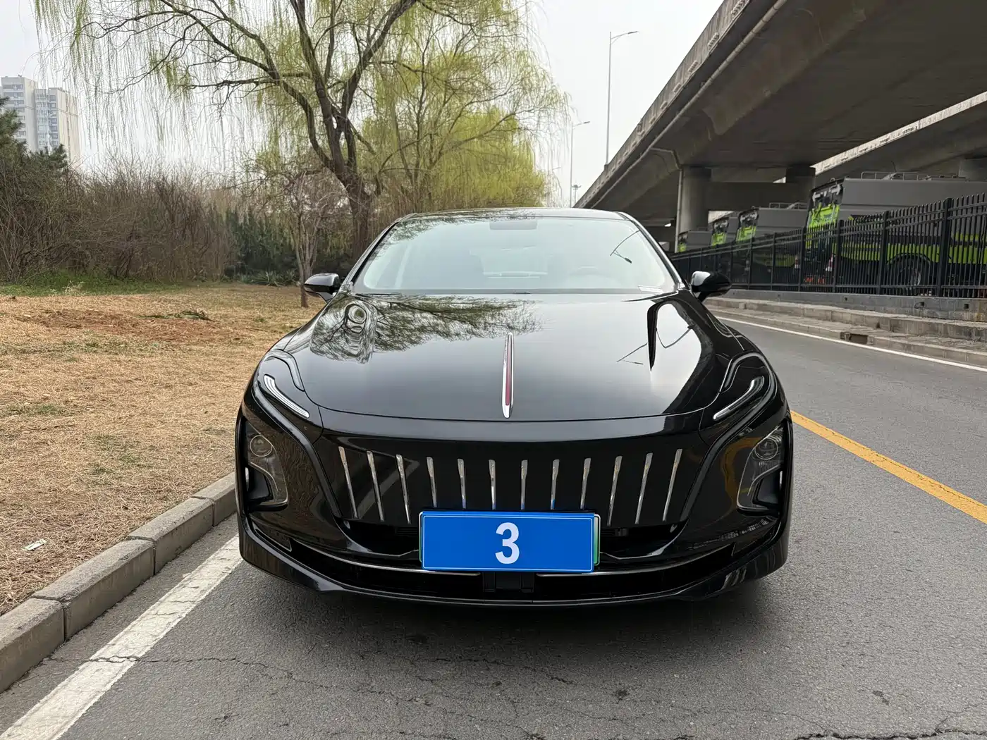 Hongqi HONGQI E QM5
