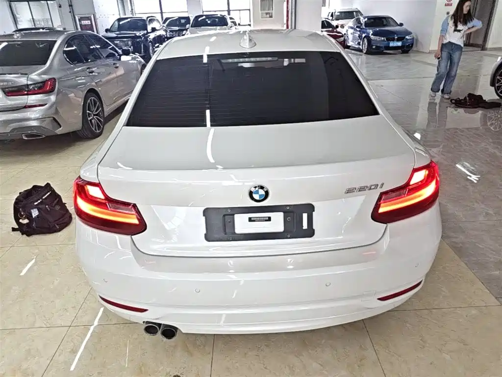 BMW 2 Series (Import) 2017 220i Leading фото 6