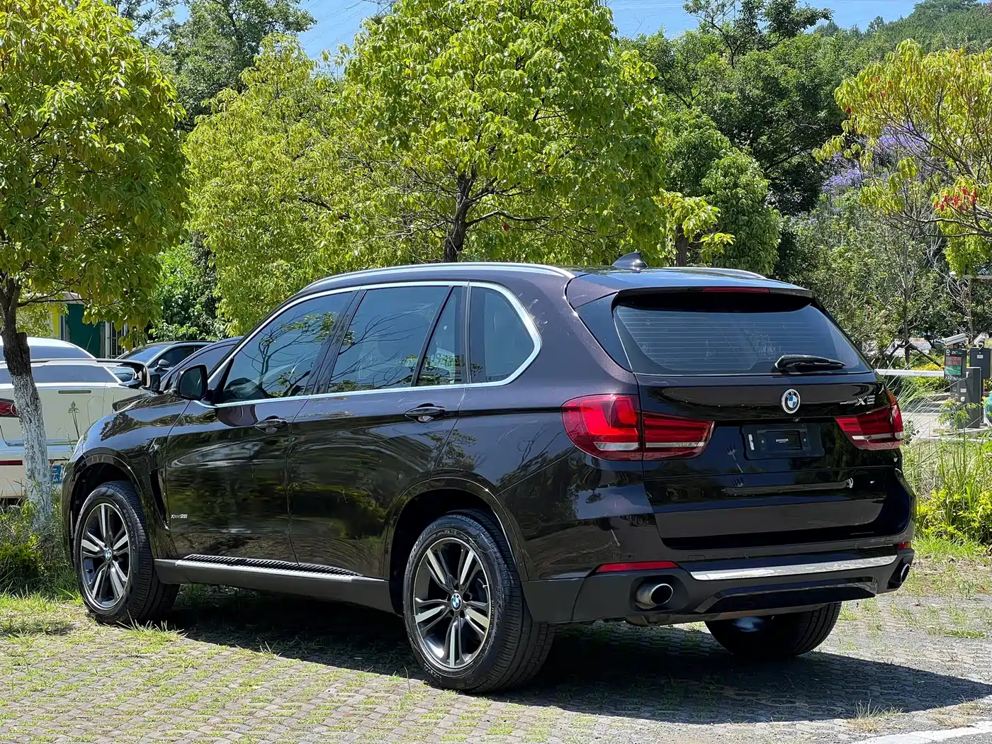 BMW X5 (Import) 2017 xDrive35i Elegance фото 17